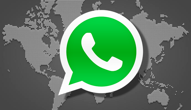 Detect WhatsApp user activity to optimize your social marketing