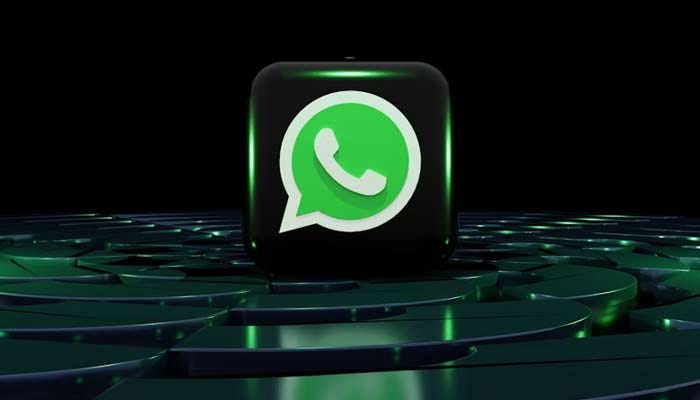 Detect WhatsApp user activity to optimize your social marketing